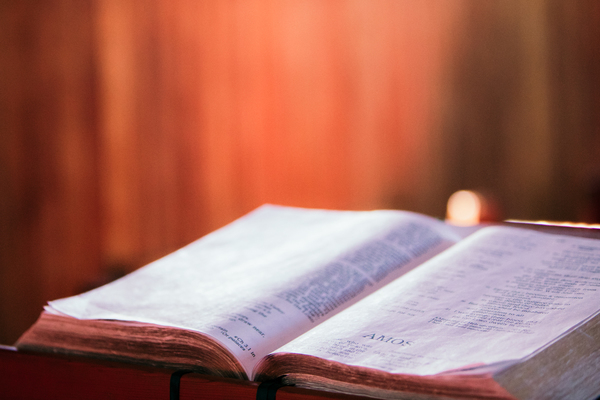 Bible in a Year